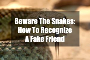 Beware The Snakes – How To Recognize A Fake Friend